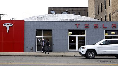 Locals and environment groups in David and Goliath battle over Tesla