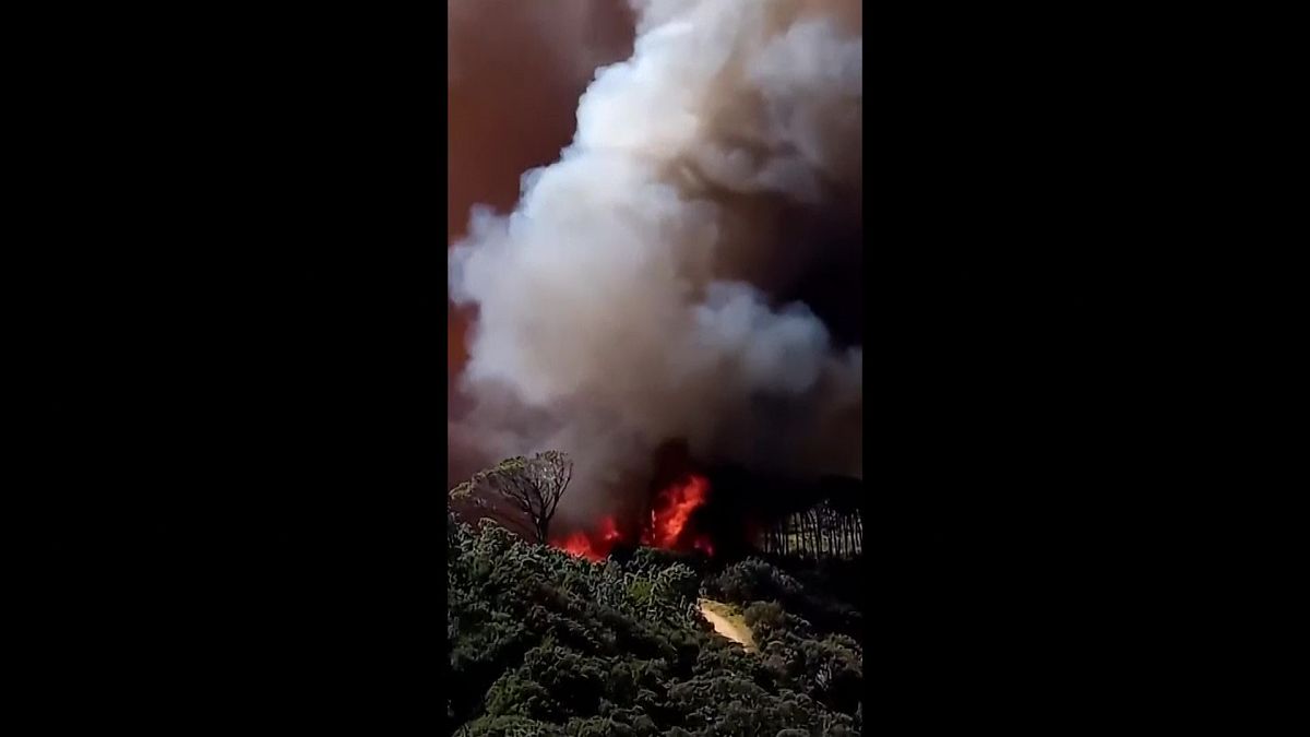 حريق كيب تاون - جنوب إفريقيا