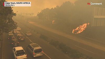 Feuer in Kapstadt zerstört Flächen am Tafelberg und historische Gebäude