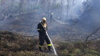 Afrique du Sud : la ville du Cap menacée par un incendie