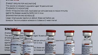 Çinli ilaç şirketi Sinovac'ın Covid-19'a karşı geliştirdiği CoronaVac aşısı