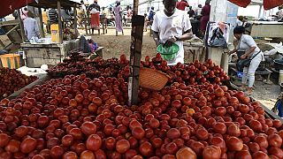 Nigerians lament rising cost of living as food prices soar, inflation at 4-year high