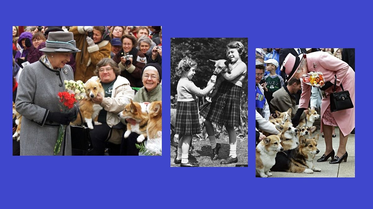 II. Erzsébet gyerekkora óta szereti a kutyákat