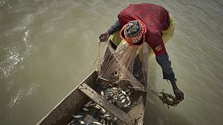 Delta intérieur du fleuve Niger : des pêcheurs en souffrance