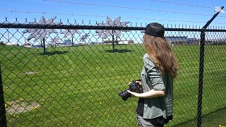 Film director Julia Barnes investigates solar panels 