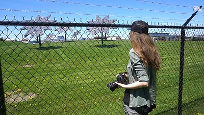 Film director Julia Barnes investigates solar panels Film director Julia Barnes investigates solar panels
