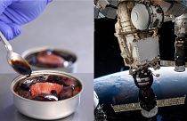 Star chefs are sending high class French food up to the ISS