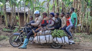 'Cars can't reach us': Giant motorbikes are the workhorses in rural Cameroon