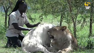 Akello, the Ugandan woman wildlife handler