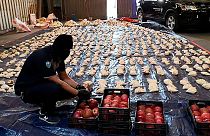 محموله انار حاوی مواد مخدر متعلق به کشور لبنان که در عربستان کشف شد