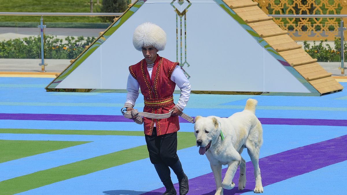 A man dressed in a national costume runs with his border guard shepherd dog Alabay during Dog Day celebration in Ashgabat, Turkmenistan, Sunday, April 25, 2021. 