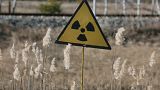 A radiation sign outside the deserted town of Pripyat, some 3 kilometers (1.86 miles) from the Chernobyl nuclear power plant in Ukraine, Tuesday, Feb. 4, 2020