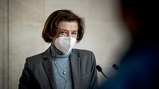 Fransa Savunma Bakanı Florence Parly