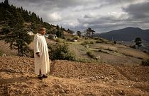 مزارع يقف أمام حقل للقنب ينتظر الموسم المقبل للزراعة والحصاد في منطقة كتامة، المغرب.