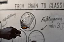 Dünyanın en eski viskisi açık artırmayla satışa çıkıyor