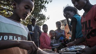Ethiopie : les forces érythréennes pillent l'aide alimentaire au Tigré