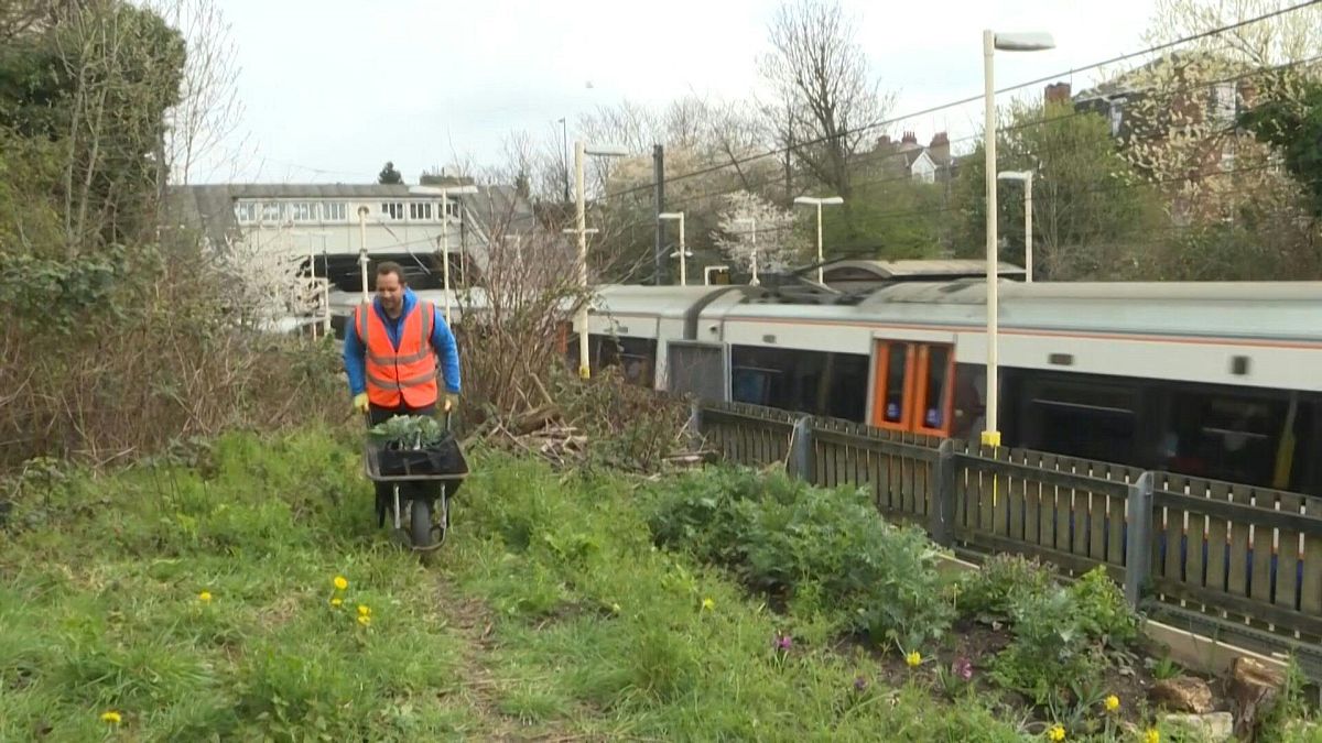 الحدائق تنمو على أطراف خط المترو في لندن
