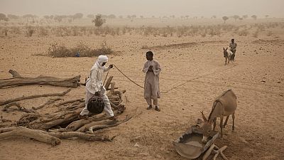 UN: 29 million in Sahel need humanitarian assistance