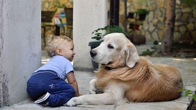 Children and pets increase yearly carbon emissions by up to 58 tonnes Children and pets increase yearly carbon emissions by up to 58 tonnes