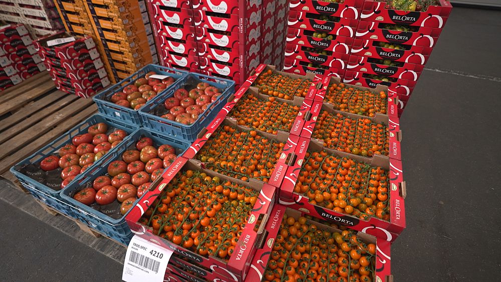 Find out how Belgium's huge fresh produce auction is bearing fruit - Vimarsana News