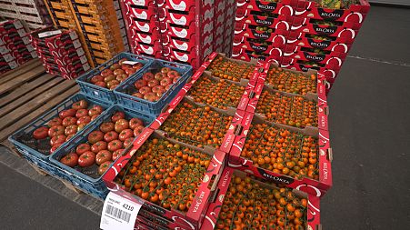 Find out how Belgium's huge fresh produce auction is bearing fruit