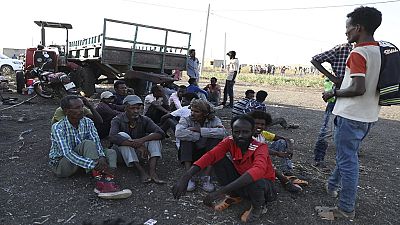 'Clean out our insides': Ethiopia detains Tigrayans amid war