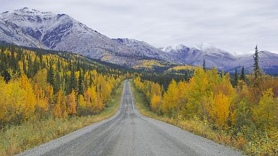 The Dempster Highway is Canada's only public road which crosses the Arctic Circle