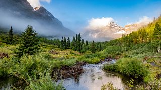 Wilderness in Colorado, US.