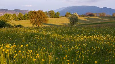 Central Apennines Central Apennines