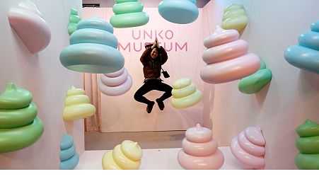 The Unko museum in Japan has one of the weirdest collections in the world.