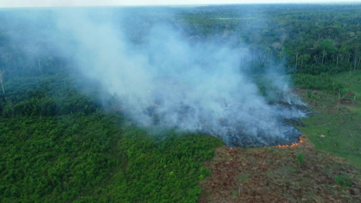 حريق في منطقة من غابات الأمازون بالقرب من ماناوس البرازيلية، حيث تظهر البيانات الرسمية أن عدد حرائق الغابات في منطقة الأمازون البرازيلية قفز بنسبة 28 بالمئة العام الماضي.