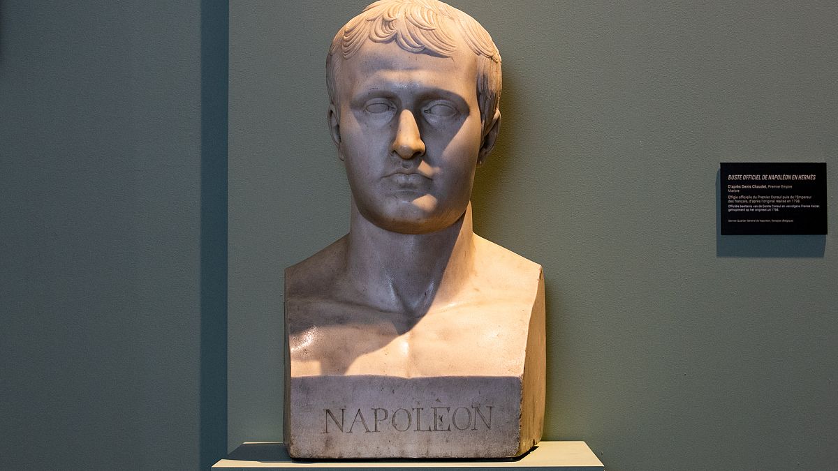 علماء ومؤرخون يفنّدون نظرية مقتل نابوليون بالسمّ