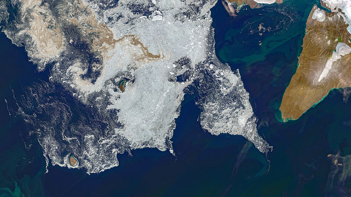 Placas de hielo marino al sur de la isla Pioneer (Rusia), 14 de agosto de 2020.
