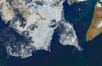 Lastre di ghiaccio marino a sud dell’Isola del Pioniere (Russia), il 14 agosto 2020.