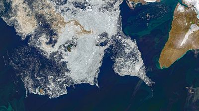 Sea ice patches south of Pioneer Island (Russia), on 14 August 2020. Sea ice patches south of Pioneer Island (Russia), on 14 August 2020.