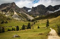 Italy's Apennine mountains are home to a range of endangered species