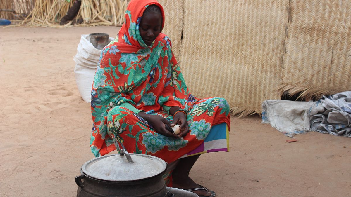 Sudan'da açlık felaketi 