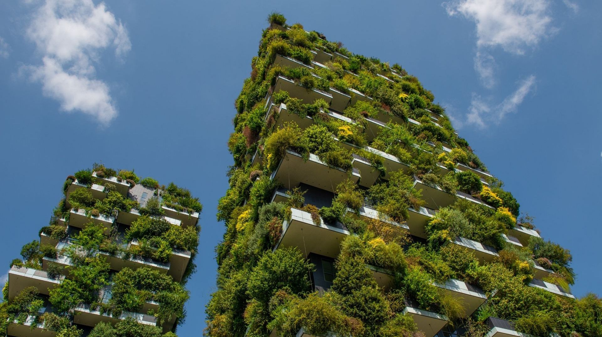 The 10 most extraordinary eco buildings around the world | Euronews