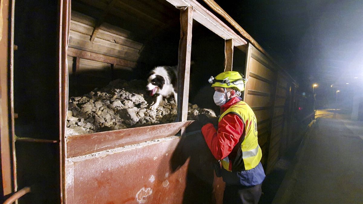 A rescuer and a dog look for migrants and refugees inside a cargo train in Dobova, Slovenia in March 2020