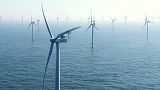 Climate Now: Rüzgar türbinleri açık denizlerde nasıl çalışıyor?