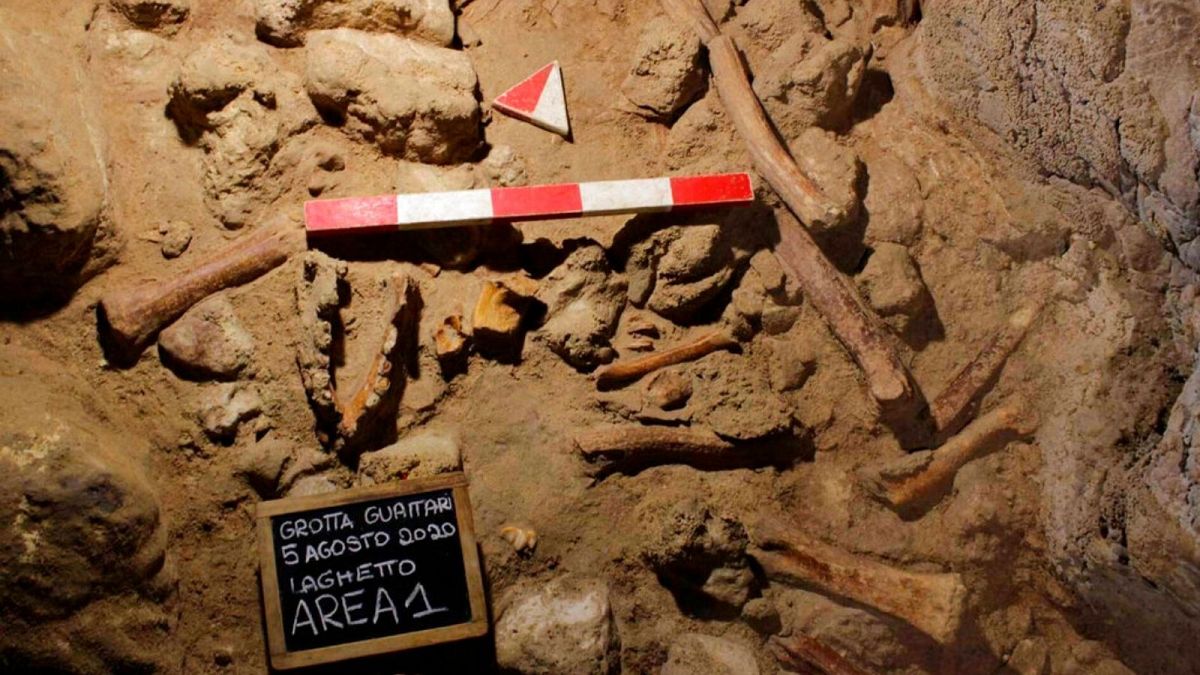 بقایای فسیلی کشف‌شده از نئاندرتال‌ها در ایتالیا