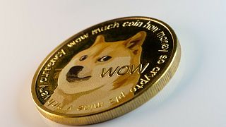Dogecoin has plummeted in value following Elon Musk's appearance on SNL.