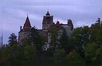 Dracula Castle vaccine