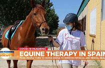 Horse and rider in equine therapy session in Spain.
