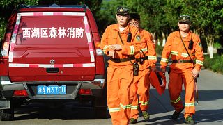 Workers take part in a search for a runaway leopard in Hangzhou