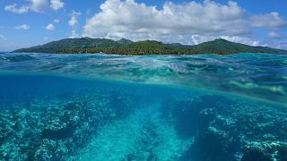 Ocean are crucial stores of blue carbon and the most biodiverse spaces on the planet