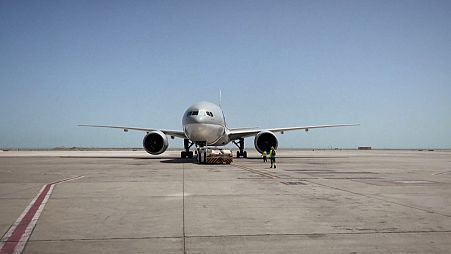 "The next year is going to be critical for airlines"