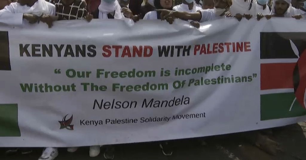Support for Palestinians in Senegal, Libya, South Africa and Kenya - Vimarsana News