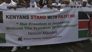 Support for Palestinians in Senegal, Libya, South Africa and Kenya
