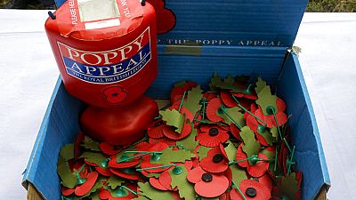 The Royal British Legion's Poppy Appeal